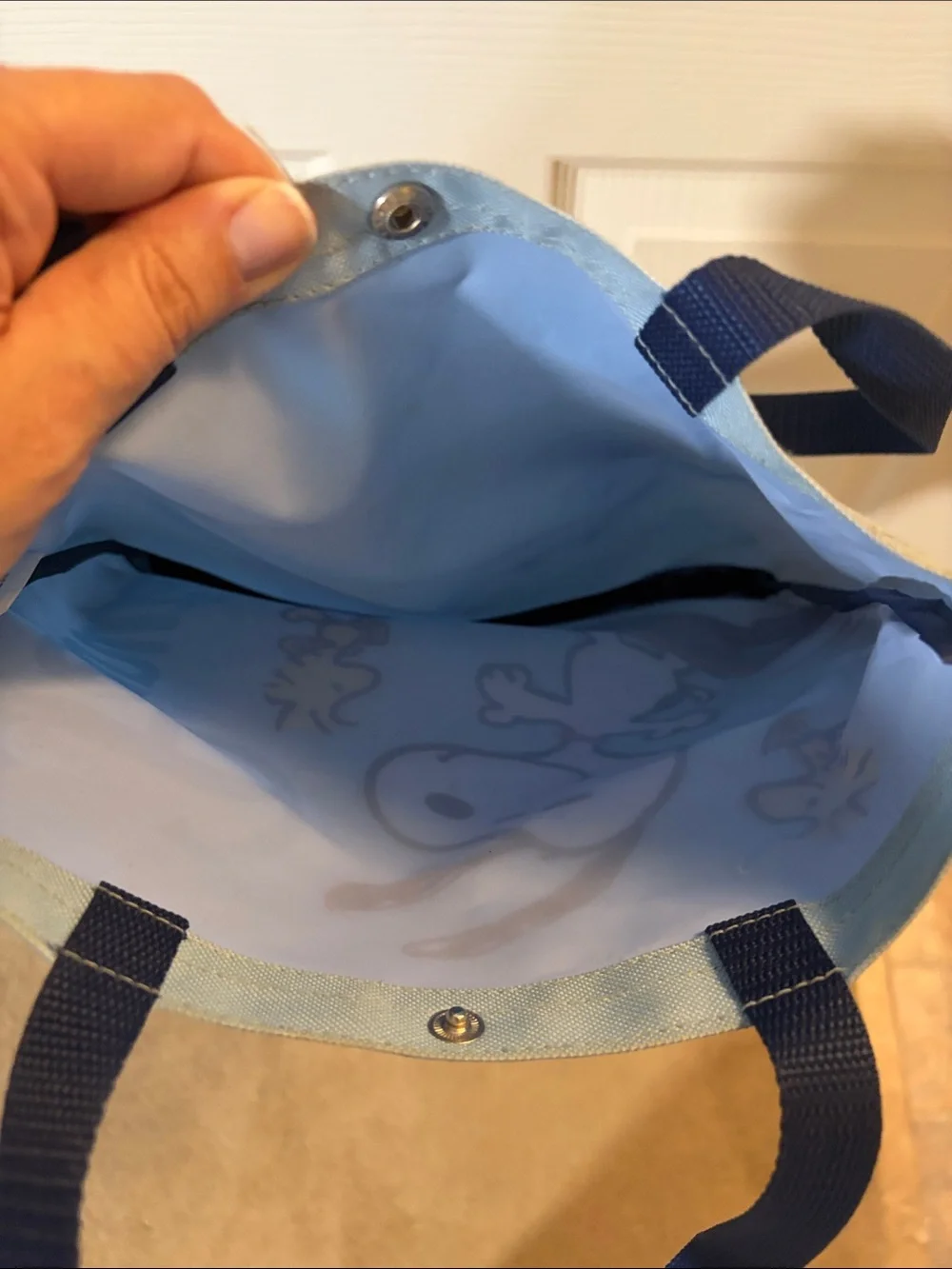 Peanuts Snoopy & Woodstock Skate Tote in Light Blue and Navy